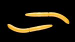 Fatty D'Worm 008 DARK YELLOW .jpg